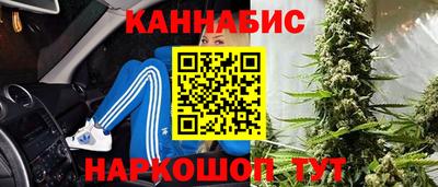 трава Брянск
