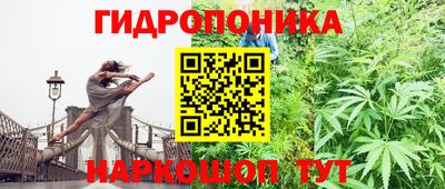 трава Брянск