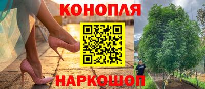 трава Брянск