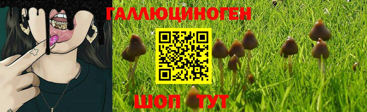 Галлюциногенные грибы Magic Shrooms Саратов