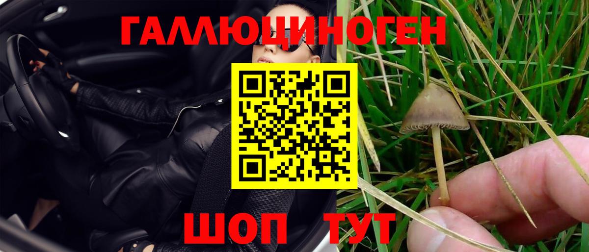 даркнет сайт  Псилоцибиновые грибы Magic Shrooms  Вход с VPN  Саратов 
